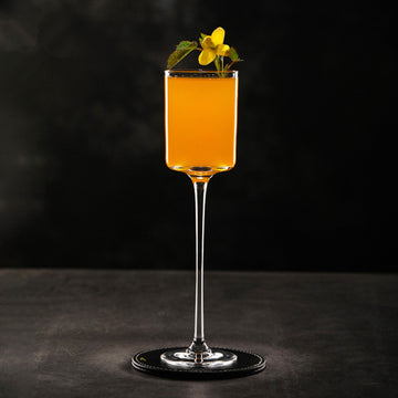 Long Stem Straight Wine Glasses